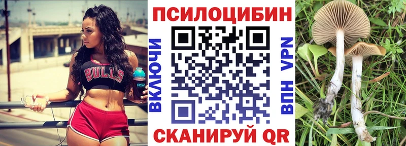 где можно купить   Семилуки  Псилоцибиновые грибы Psilocybine cubensis 